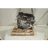 Motor gasolina