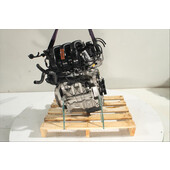 Motor gasolina
