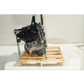 Motor gasolina