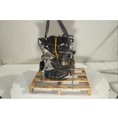 Motor gasolina