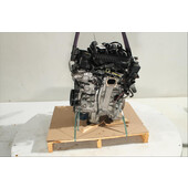 Motor gasolina
