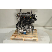 Motor gasolina