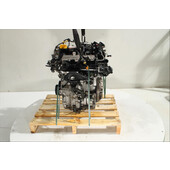 Motor gasolina