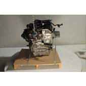 Motor gasolina