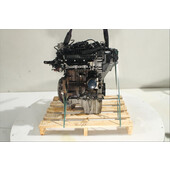 Motor gasolina