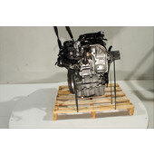 Motor gasolina