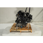Motor gasolina