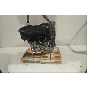Motor gasolina
