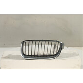 Rejilla radiador Izq.