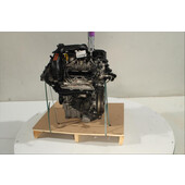Motor gasolina