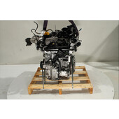 Motor gasolina