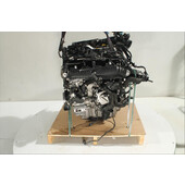 Motor gasolina