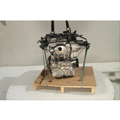 Motor gasolina