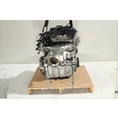 Motor gasolina