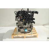Motor gasolina