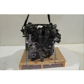 Motor gasolina