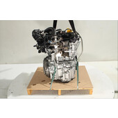 Motor gasolina