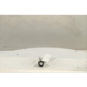 Interruptor de arranque