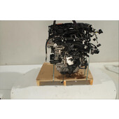 Motor gasolina