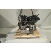 Motor gasolina