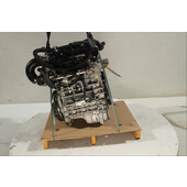 Motor gasolina