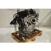 Motor gasolina