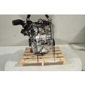 Motor gasolina