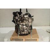 Motor gasolina