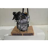 Motor gasolina