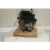 Motor gasolina