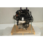 Motor gasolina
