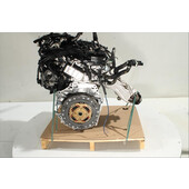 Motor gasolina