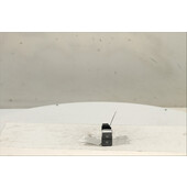 Palanca e interruptor freno de mano