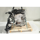 Motor gasolina