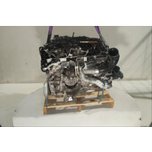 Motor gasolina