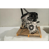 Motor gasolina