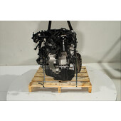 Motor gasolina