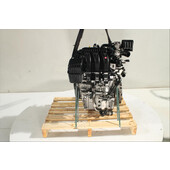 Motor gasolina