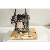 Motor gasolina