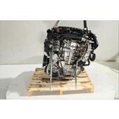 Motor gasolina