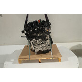 Motor gasolina
