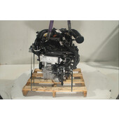 Motor gasolina