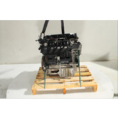 Motor gasolina