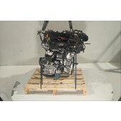 Motor gasolina