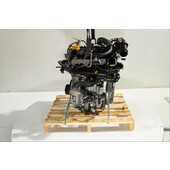 Motor gasolina