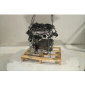 Motor gasolina