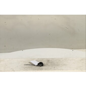 Interruptor de arranque