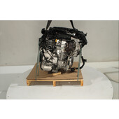 Motor gasolina