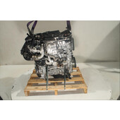 Motor gasolina