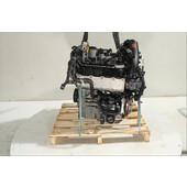 Motor gasolina